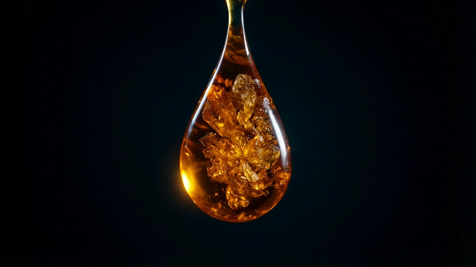 Vitalidad y Nutrición Premium
